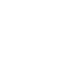 Our Vision
